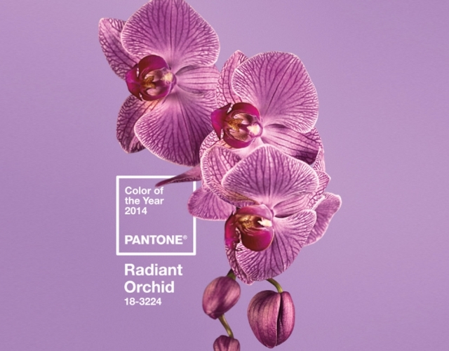 Cvet 2014 goda - Radiant Orchid